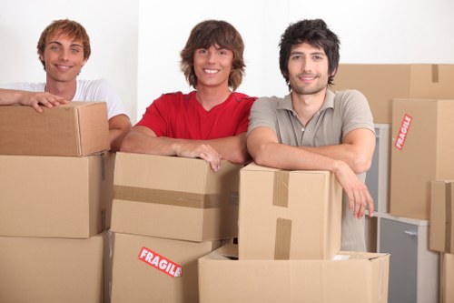 Two movers handling furniture in a busy residential street