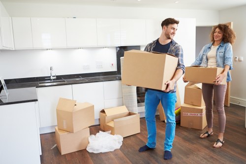 Local van service for bulky item collection and delivery in Hithergreen