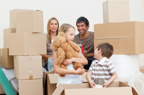 Practical storage support for moves and renovations in Hithergreen
