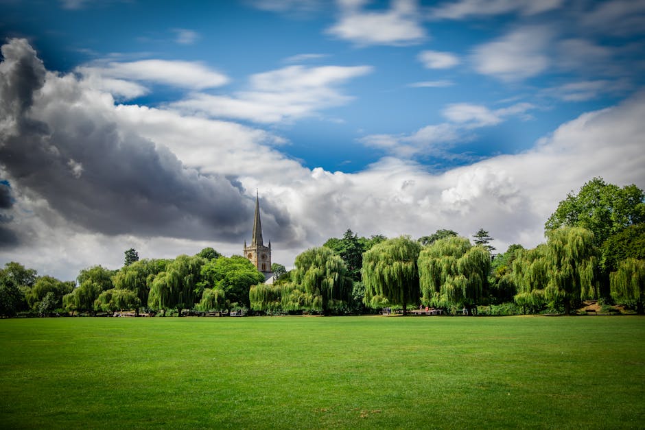A wide view of Mountsfield Park showing a large open grassy area surrounded by various trees with green and dark purple foliage. Several people are visible sitting on benches and the grass, engaging i